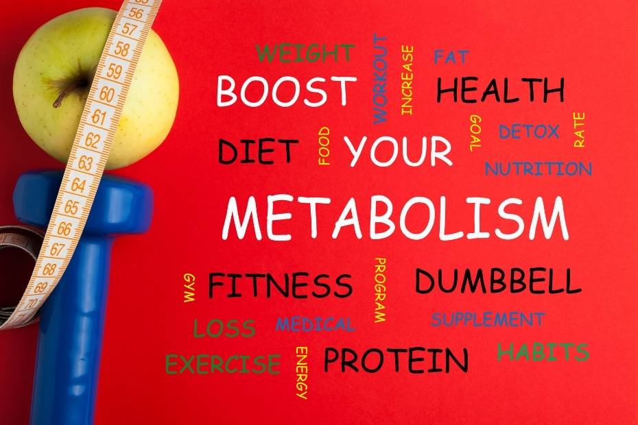 metabolism