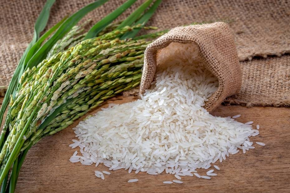 rice