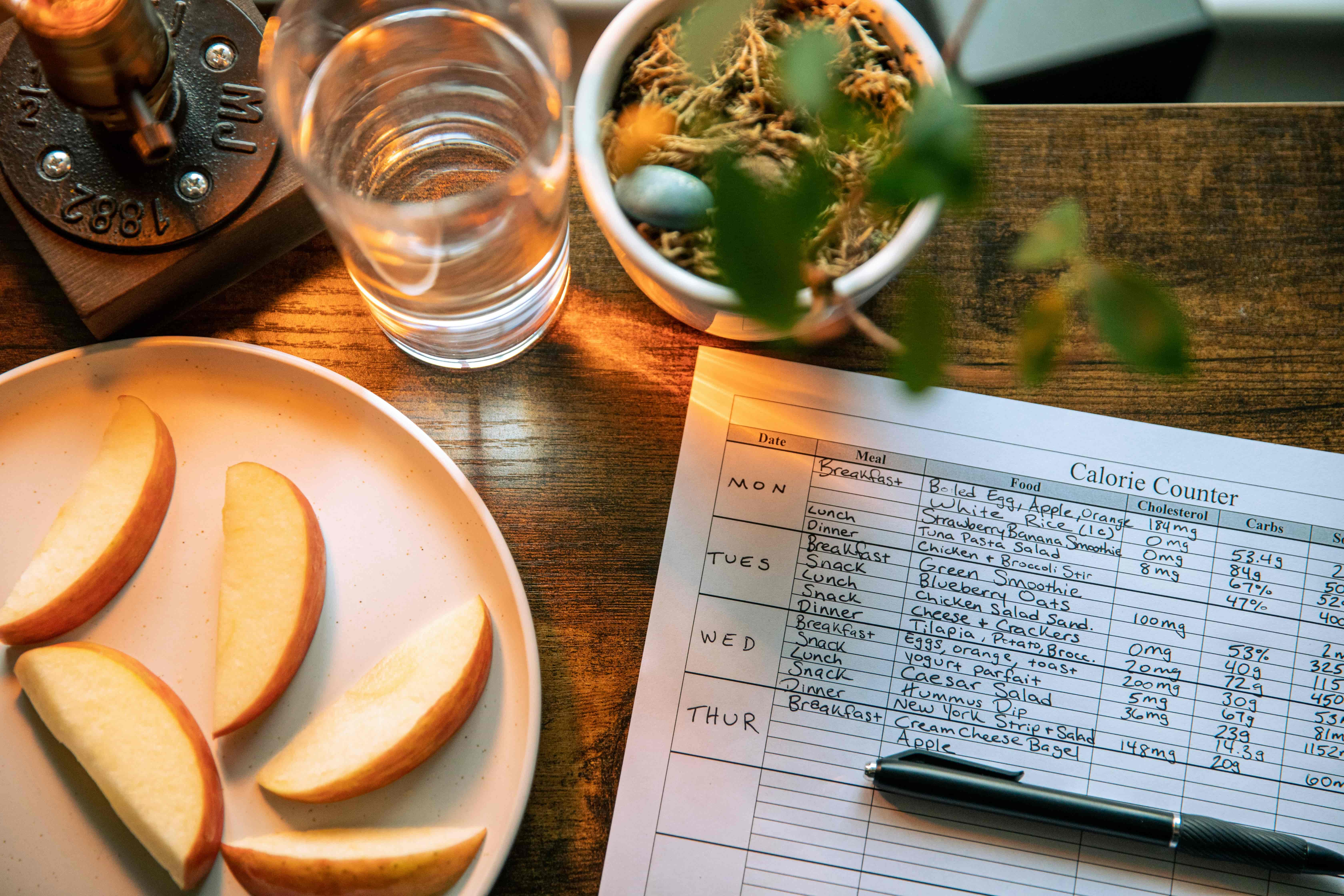 Expert-Diet-Plans