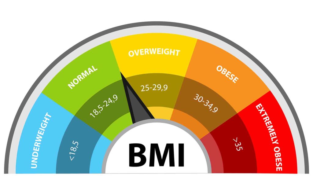 BMI Calculator to Track Fitness and Body Mass Index